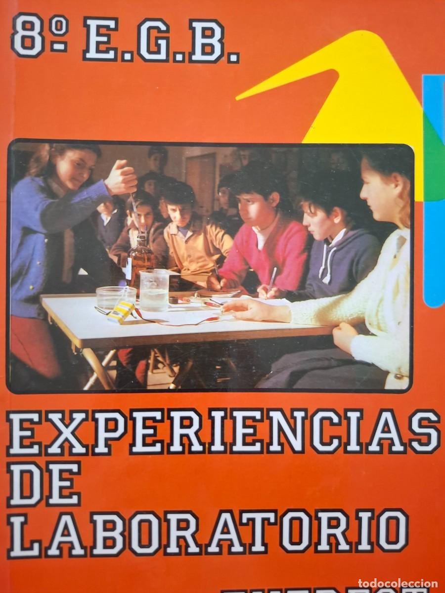 Libros de segunda mano de ciencias: experiencias de laboratorio everest 8&ordm; EGB vv aa