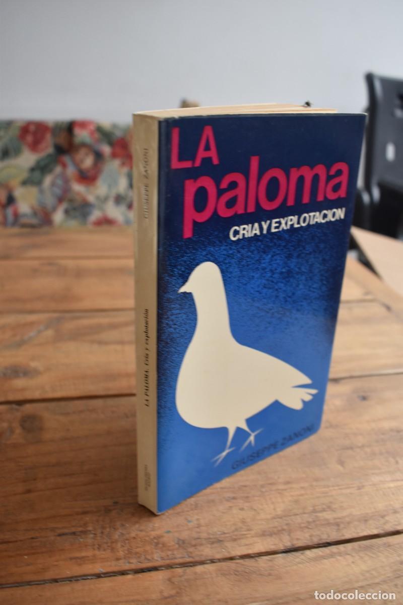 Libros de segunda mano: LA PALOMA. CRIA Y EXPLOTACI&Oacute;N. Giuseppe Zanoni. Ediciones Mundi-Prensa, Madrid, 1980