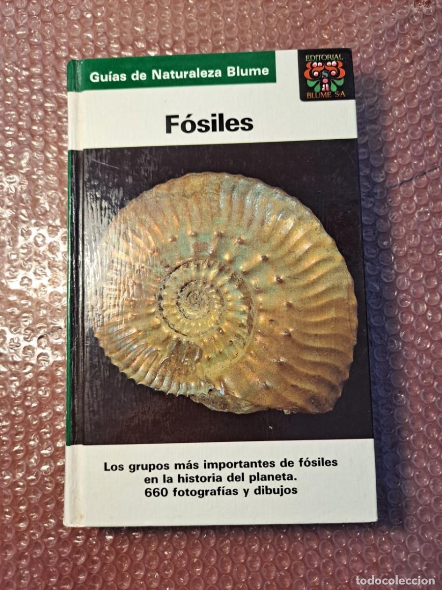 Libros de segunda mano: Gu&iacute;a de Naturaleza Blume - F&oacute;siles