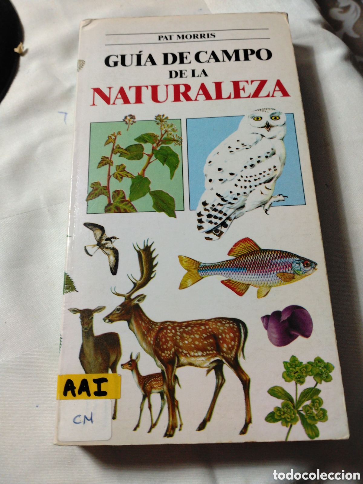 Libros de segunda mano: GU&Iacute;A DE CAMPO DE LA NATURALEZA - PAT MORRIS - BLUME NATURALEZA 1&ordf; ED. 1991.