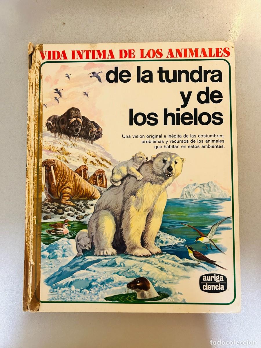 Libros de segunda mano: De la tundra y de los hielos (Colecci&oacute;n Vida &iacute;ntima de los animales)
