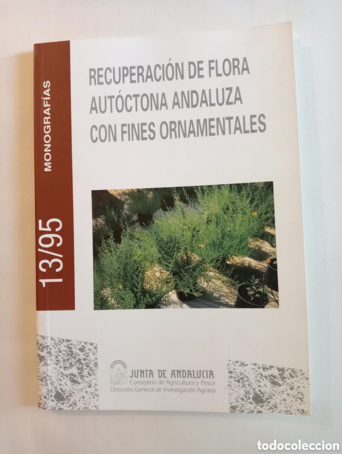 Libros de segunda mano: Recuperaci&oacute;n de flora aut&oacute;ctona andaluza con fines ornamentales. Monograf&iacute;as 13/95.