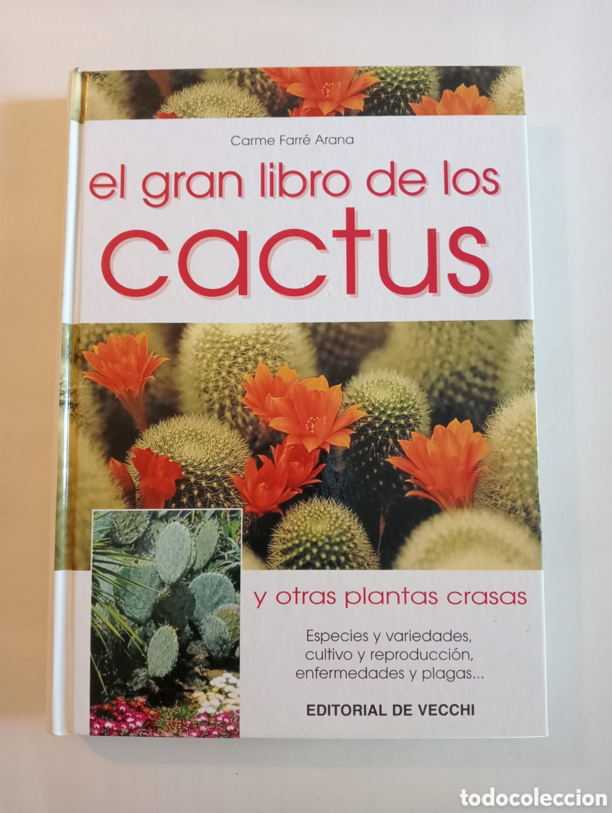 Libros de segunda mano: EL GRAN LIBRO DE LOS CACTUS Y OTRAS PLANTAS CRASAS&nbsp;&nbsp;/ Carme Farr&eacute; Arana. Editorial&nbsp;De Vecchi