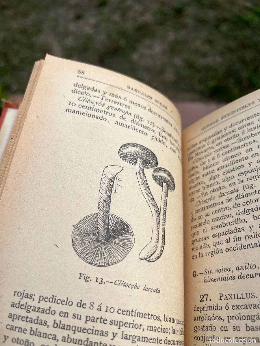 Libros de segunda mano: Libro Hongos comestibles y Venenosos, manuales Soler - Foto 7