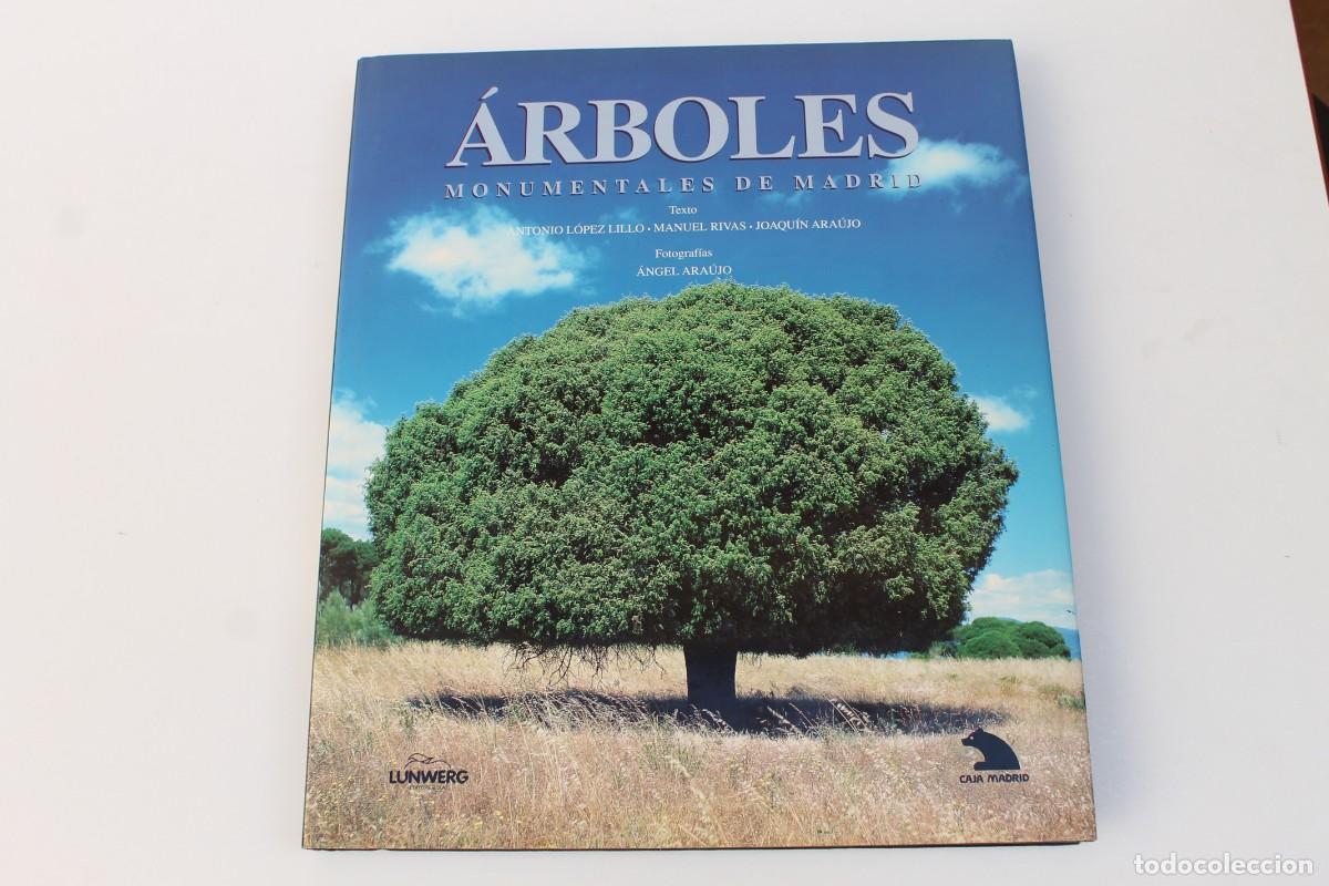 Libri di seconda mano: ARBOLES MONUMENTALES DE MADRID- 1997 LUNWERG EDITORES.