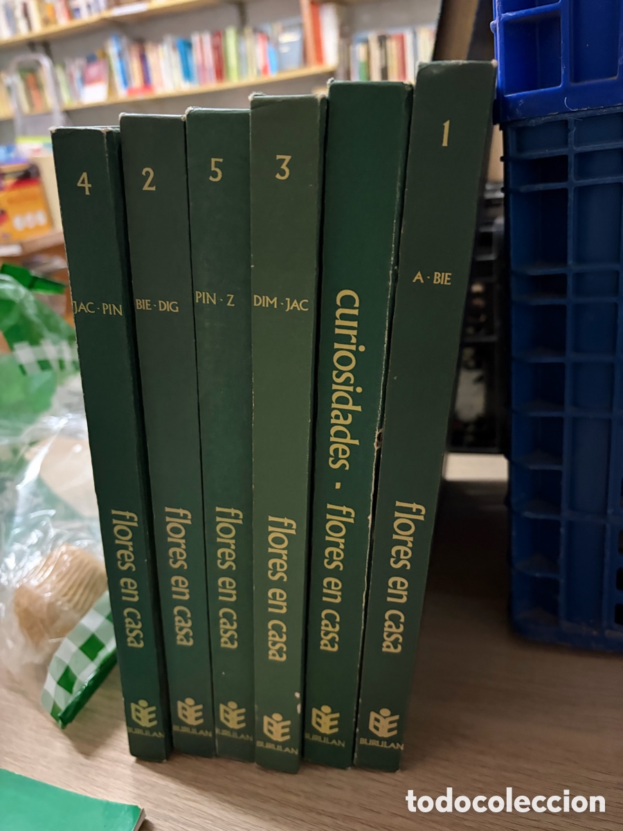 Libros de segunda mano: Enciclopedia bot&aacute;nica flores en casa. Buru Lan. Burulan. 6 tomos