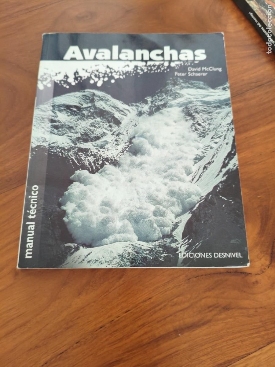 Libros de segunda mano: AVALANCHAS - EDICIONES DESNIVEL - MANUAL T&Eacute;CNICO - David McClung y Peter Schaerer - Foto 1