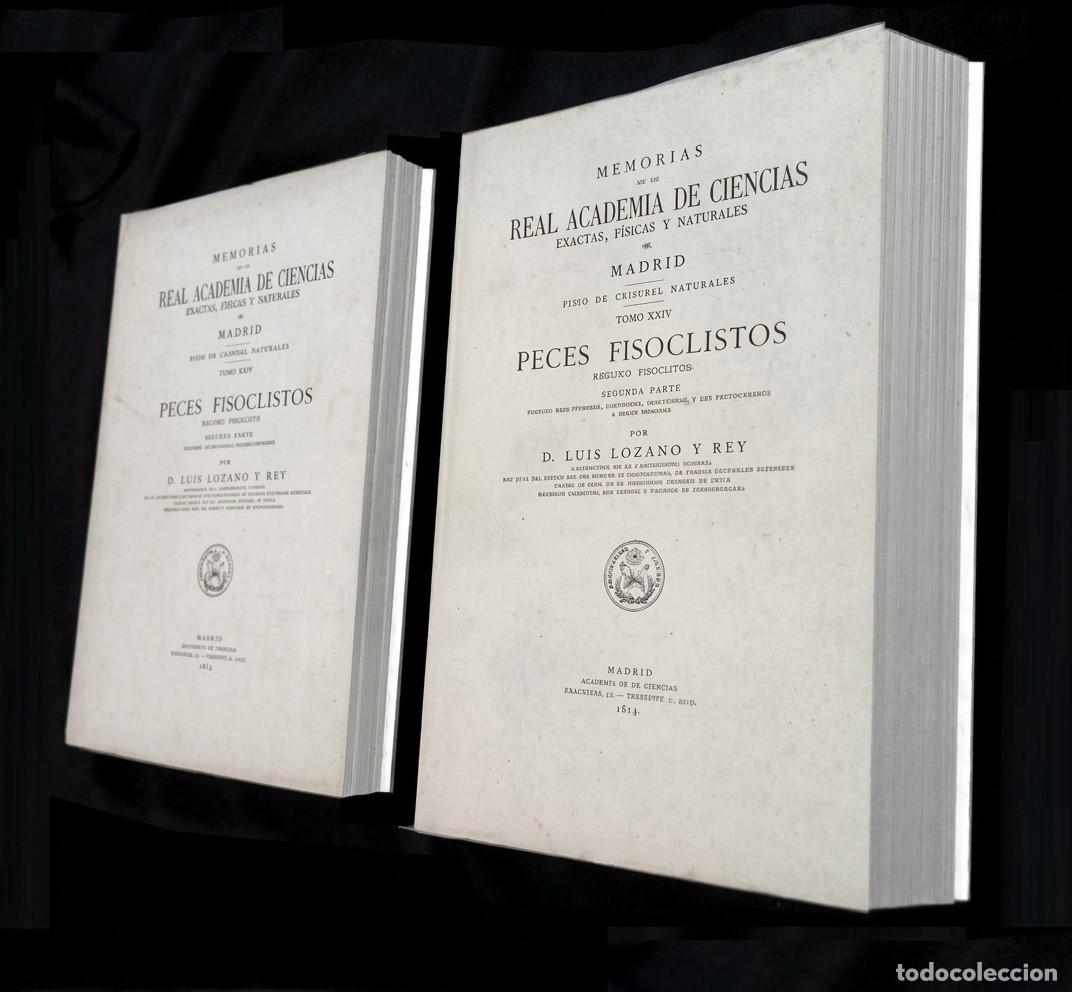 Libros de segunda mano: PECES FISOCLISTOS. [2 TOMOS]. REAL ACADEMIA DE CIENCIAS EXACTAS FISICAS Y NATURALES. L. REY.