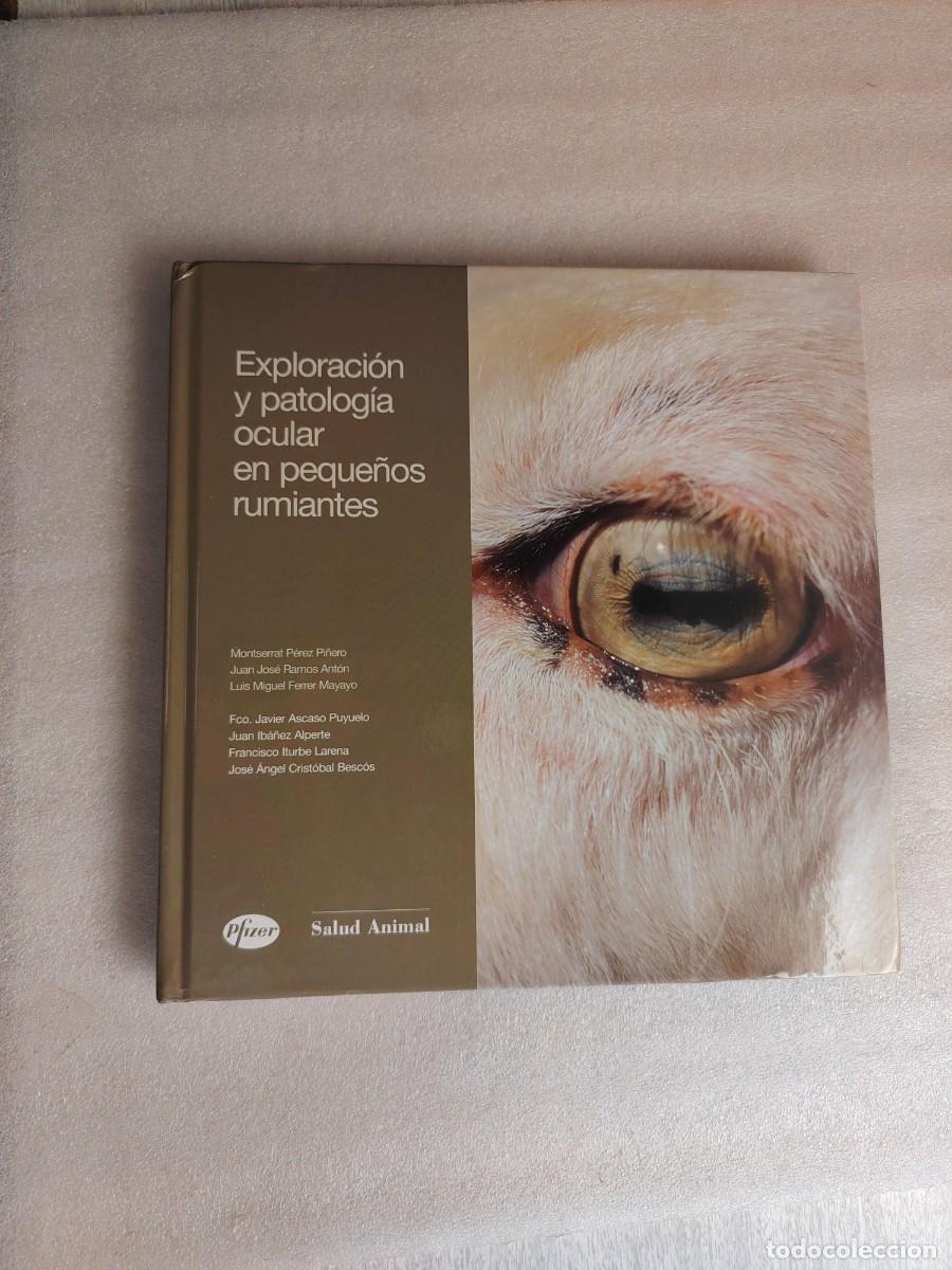 Libros de segunda mano: EXPLORACI&Oacute;N Y PATOLOG&Iacute;A OCULAR EN PEQUE&Ntilde;OS RUMIANTES - VETERINARIA / OFTALMOLOG&Iacute;A / OVEJAS Y CABRAS
