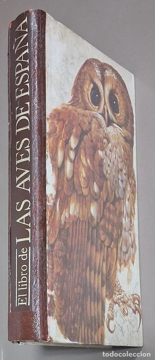 Libros de segunda mano: El libro de las Aves de Espa&ntilde;a. VV.AA. Reader&rsquo;s Digest 1972. A color. 29,5 cm. Muy buen estado!