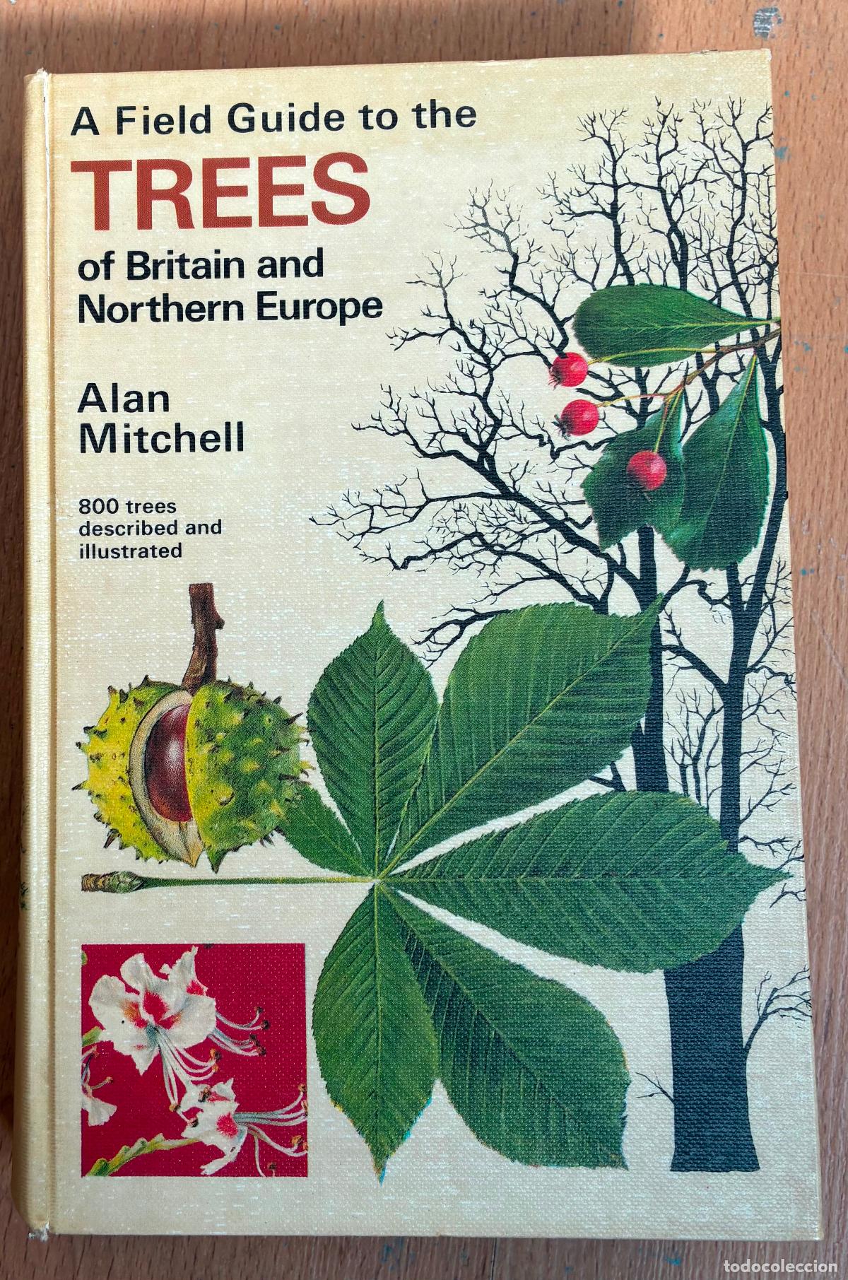 Second hand books: TREES OF BRITAIN AND NORTHERN EUROPE, Alan Mitchell, en ingles
