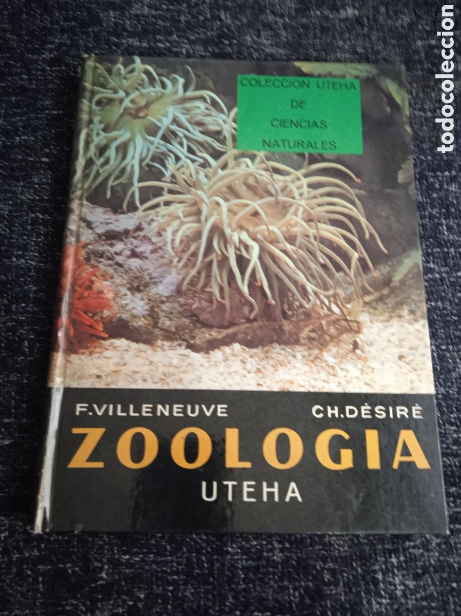 Second hand books: ZOOLOGIA. / VILLENEUVE / DESIR&Eacute; -ED. UTEHA -MEXICO