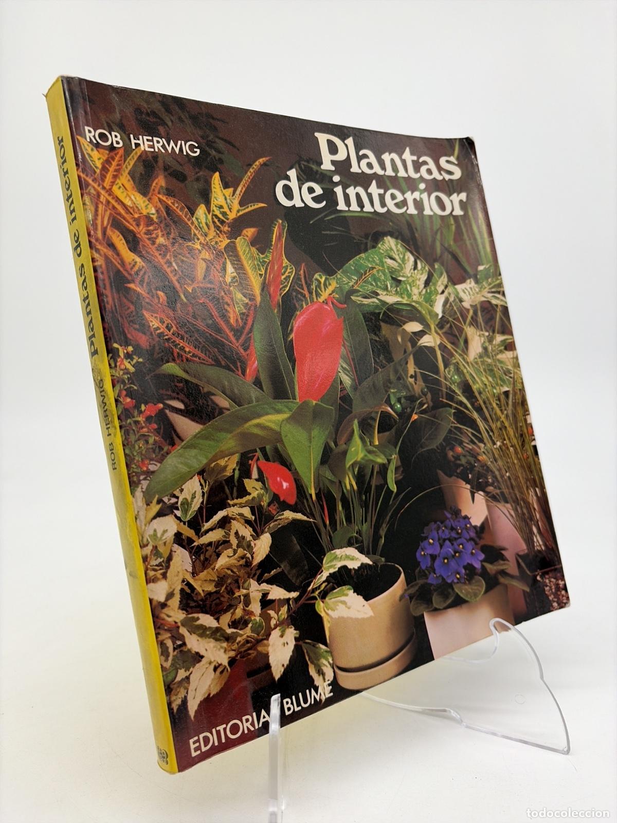 Libri di seconda mano: Plantas de interior | Rob Herwig | Editorial Blume | 1985