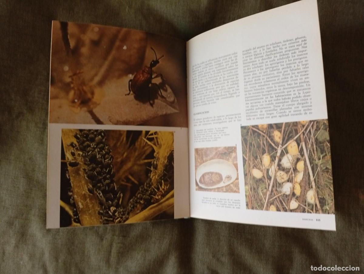 Libros de segunda mano: La vida de los animales. Coleccion tem&aacute;tica PAL - Foto 2