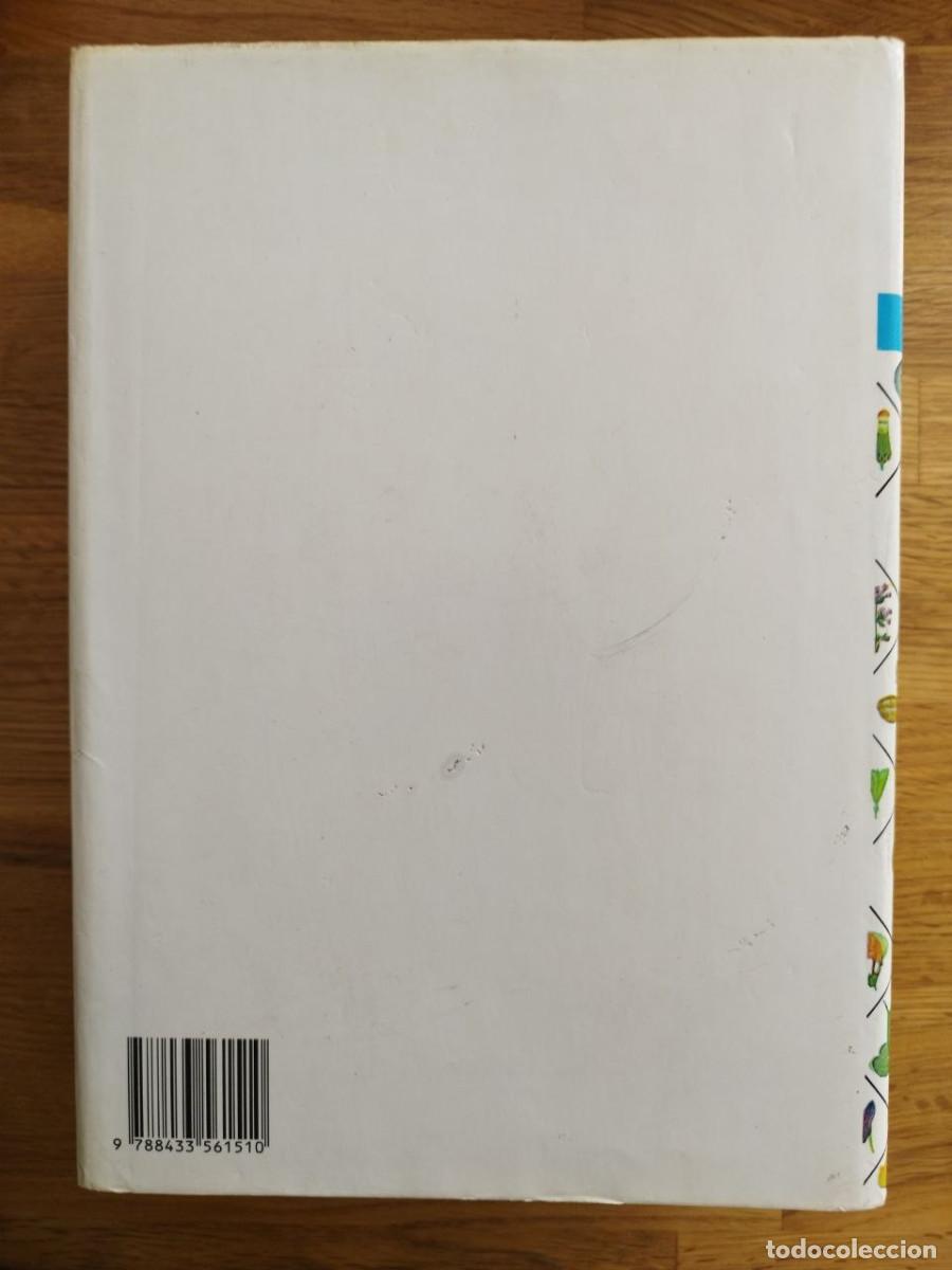 Libros de segunda mano: Plantas medicinales, el diosc&oacute;rides renovado, Pio Font Quer - Foto 2
