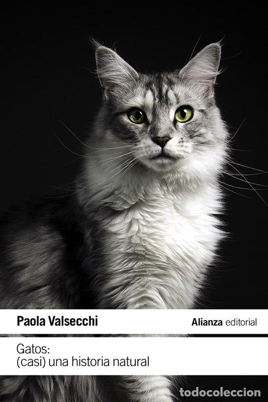 Second hand books: Gatos: (Casi) una historia natural. - Valsecchi, Paola.