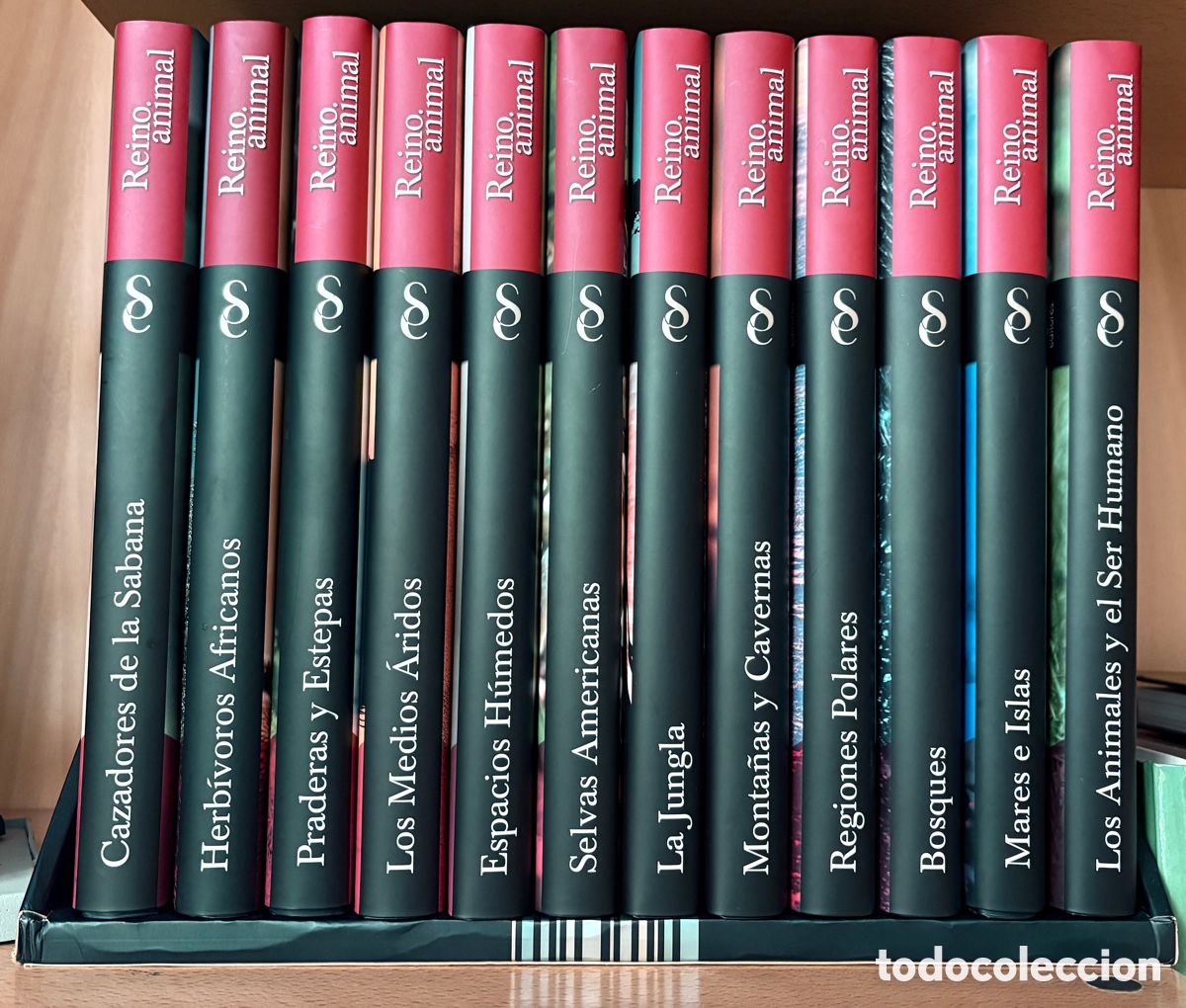 Libri di seconda mano: (L*061*) Colecci&oacute;n 12 Tomos &rdquo;Reino Animal&rdquo; - Signo Editores (2010)