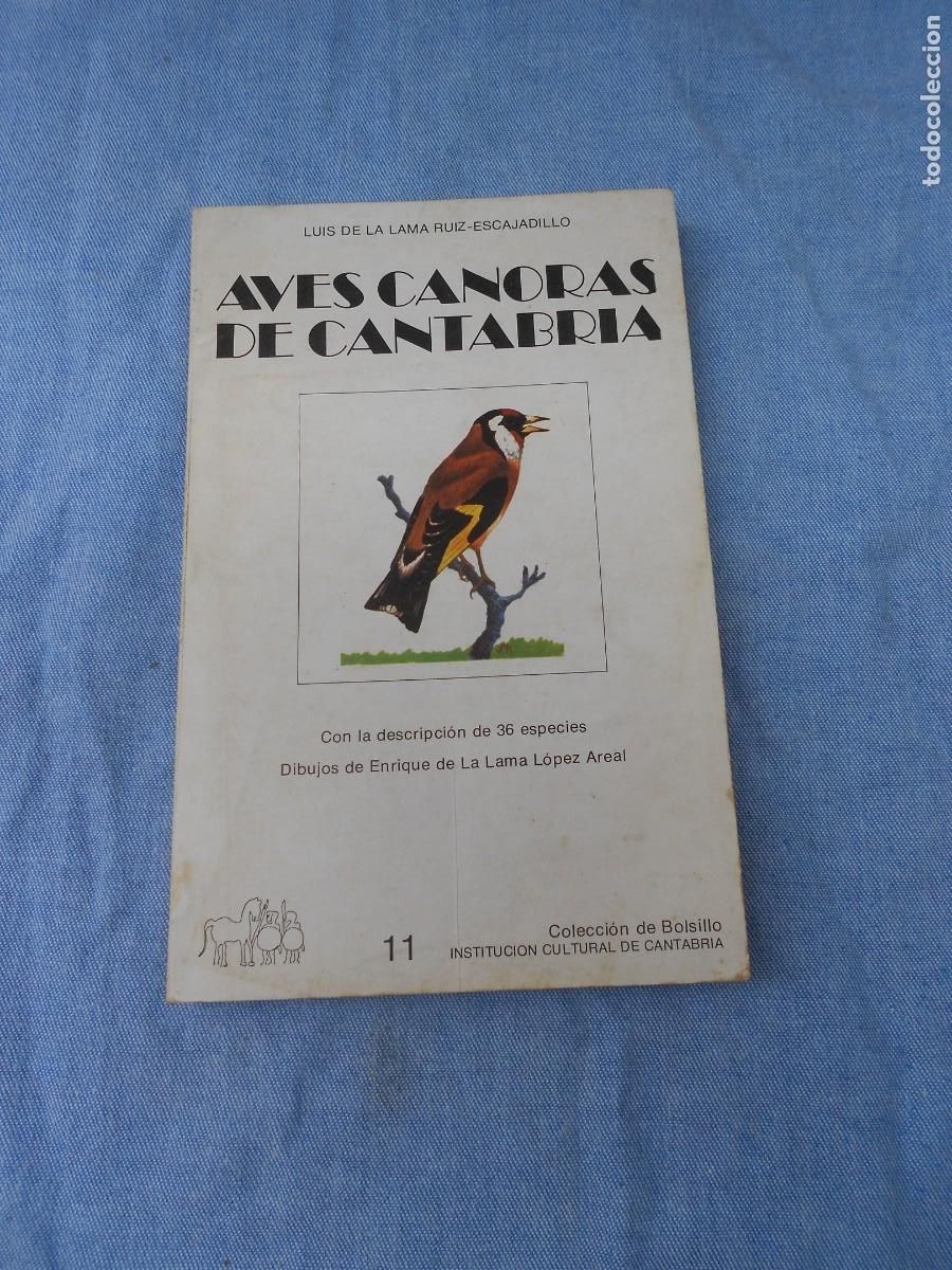 Libros de segunda mano: AVES CANORAS DE CANTABRIA