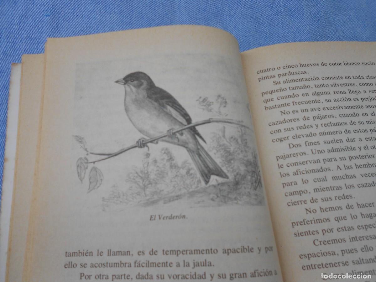 Libros de segunda mano: AVES CANORAS DE CANTABRIA - Foto 6