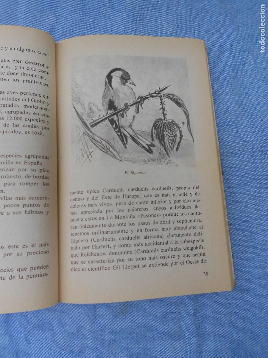 Libros de segunda mano: AVES CANORAS DE CANTABRIA - Foto 8