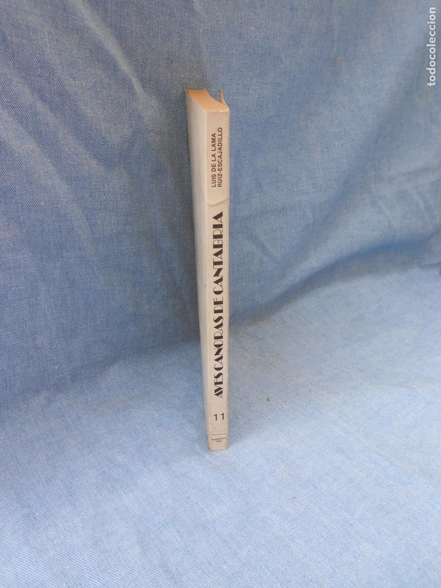 Libros de segunda mano: AVES CANORAS DE CANTABRIA - Foto 10