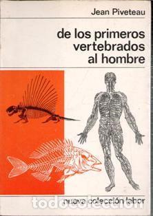 Libros de segunda mano: De los primeros vertebrados al hombre, Jean Piveteau