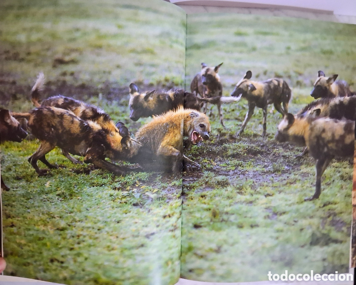 Libros de segunda mano: La vida a prueba, de David Attenborough - Foto 4