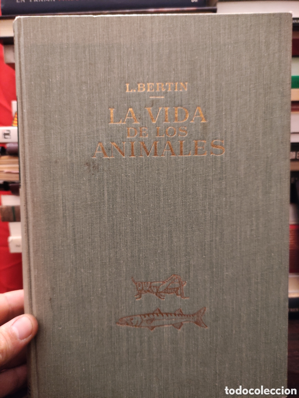 Libros de segunda mano: LA VIDA DE LOS ANIMALES - L. BERTIN 1970 - Foto 4
