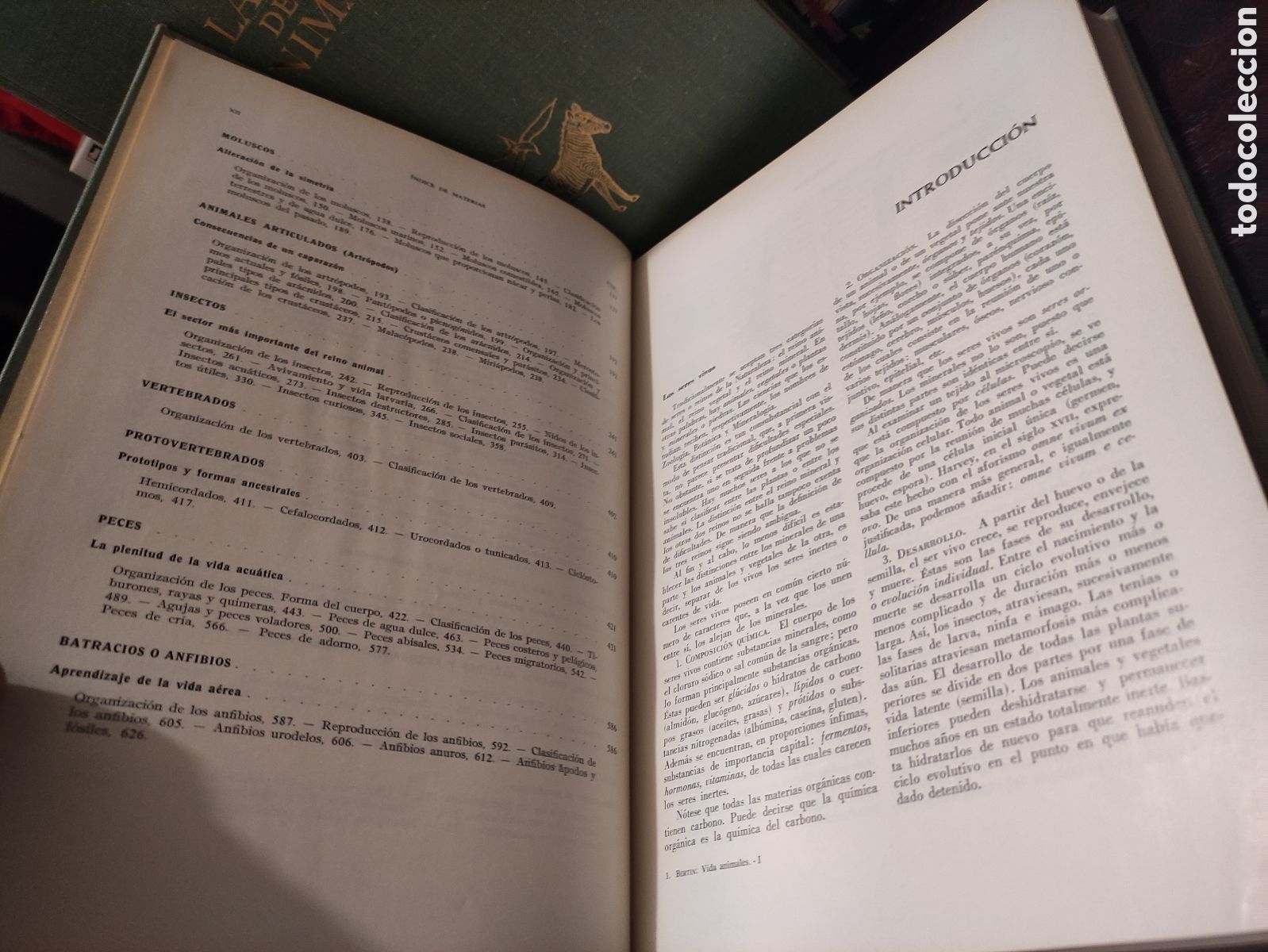Libros de segunda mano: LA VIDA DE LOS ANIMALES - L. BERTIN 1970 - Foto 13