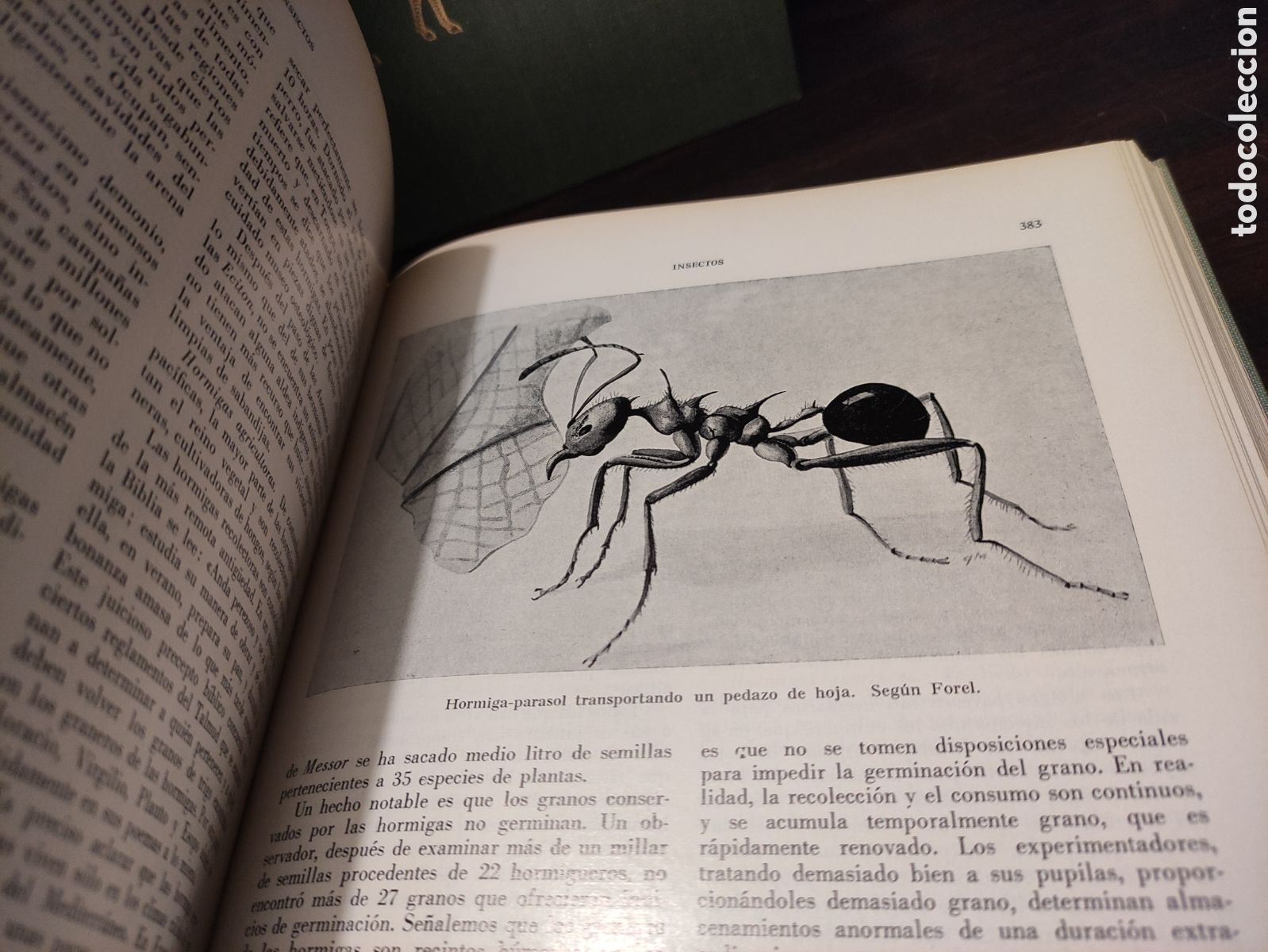 Libros de segunda mano: LA VIDA DE LOS ANIMALES - L. BERTIN 1970 - Foto 17