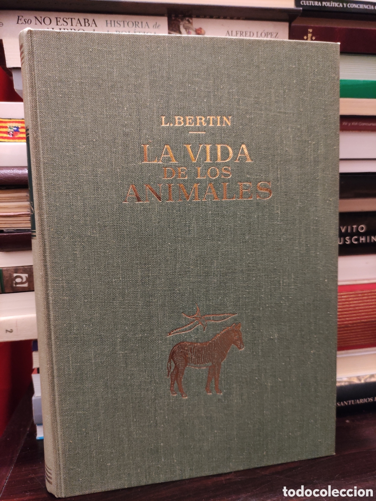 Libros de segunda mano: LA VIDA DE LOS ANIMALES - L. BERTIN 1970 - Foto 20