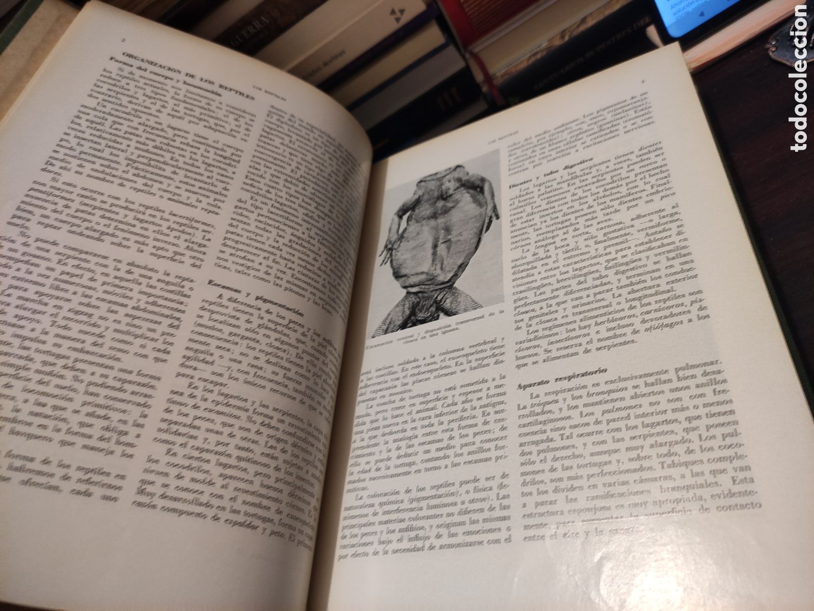 Libros de segunda mano: LA VIDA DE LOS ANIMALES - L. BERTIN 1970 - Foto 25