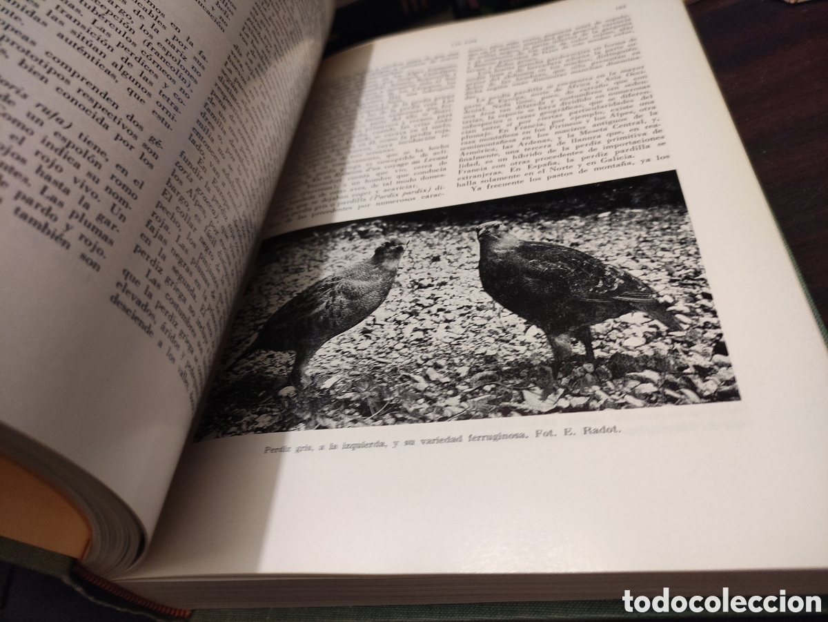 Libros de segunda mano: LA VIDA DE LOS ANIMALES - L. BERTIN 1970 - Foto 27