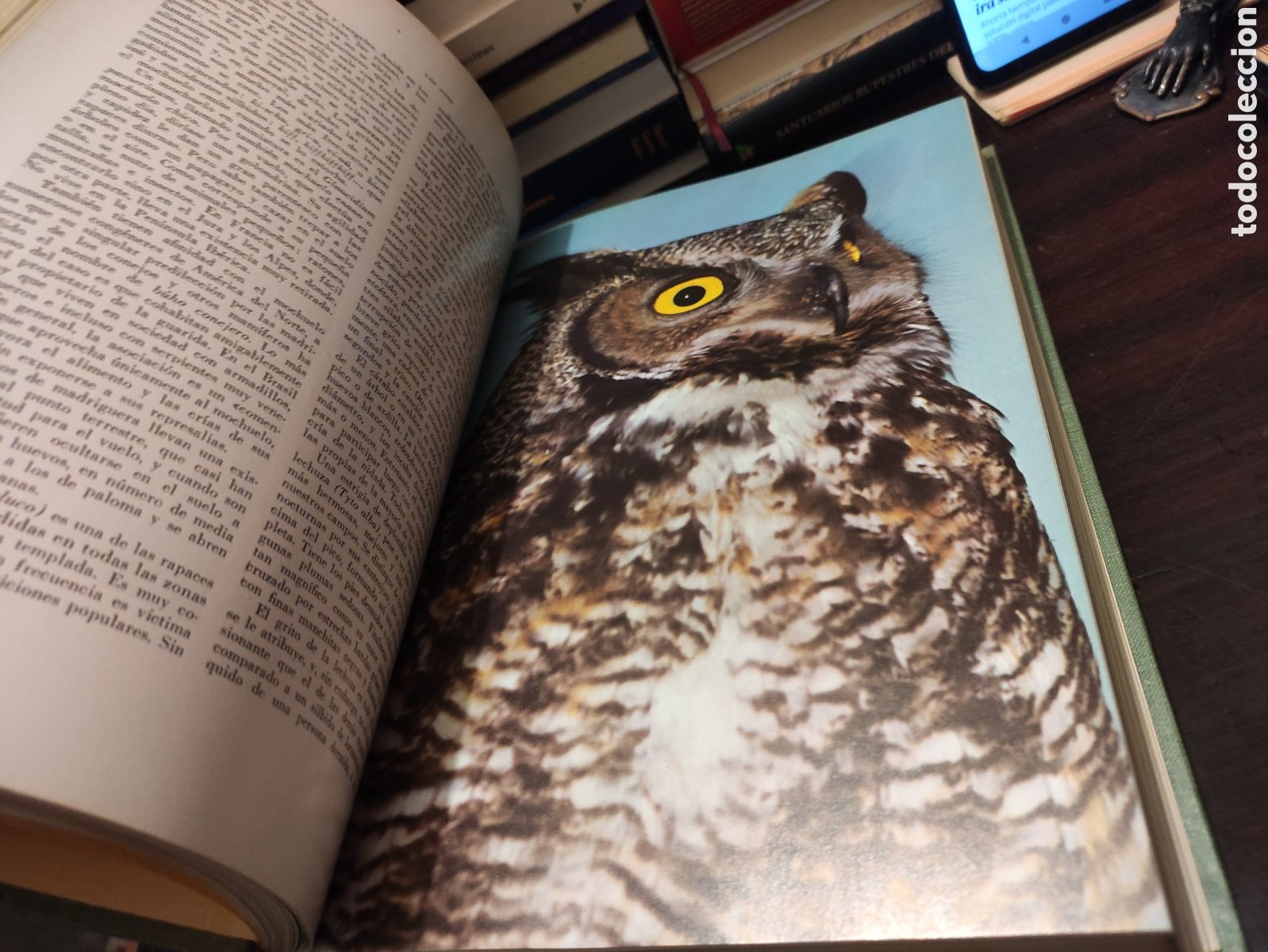 Libros de segunda mano: LA VIDA DE LOS ANIMALES - L. BERTIN 1970 - Foto 28