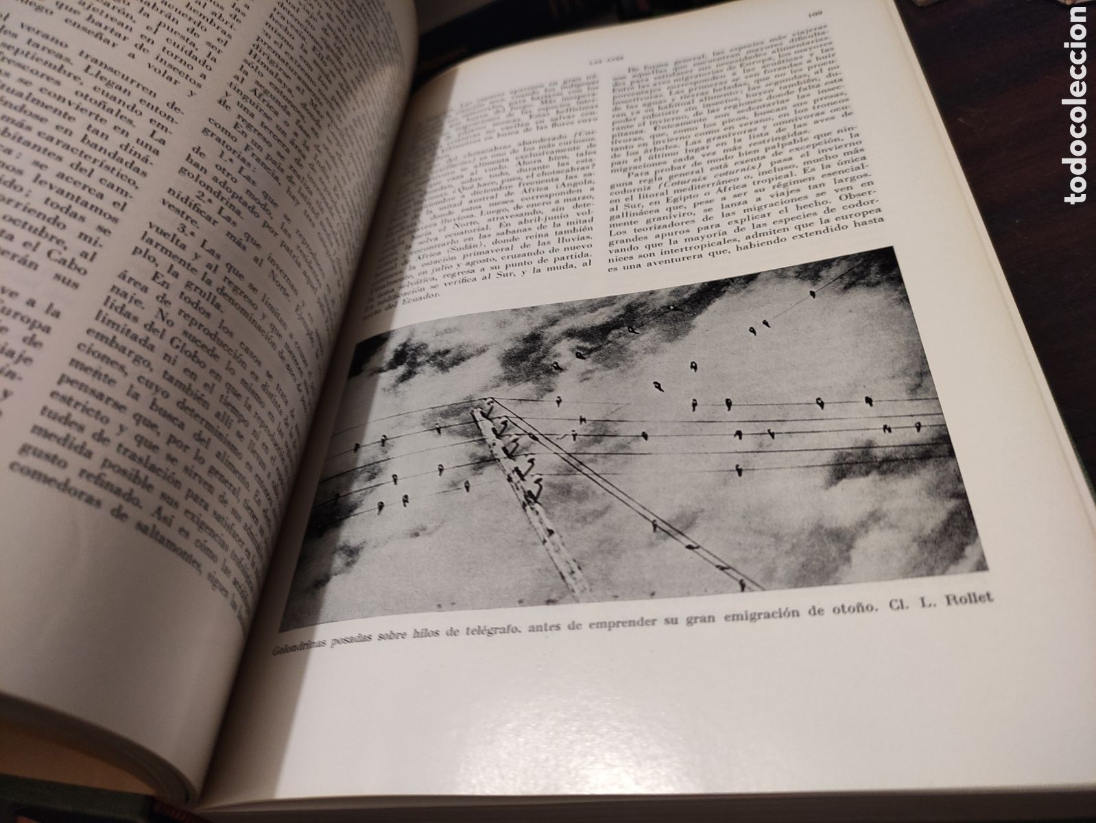 Libros de segunda mano: LA VIDA DE LOS ANIMALES - L. BERTIN 1970 - Foto 29