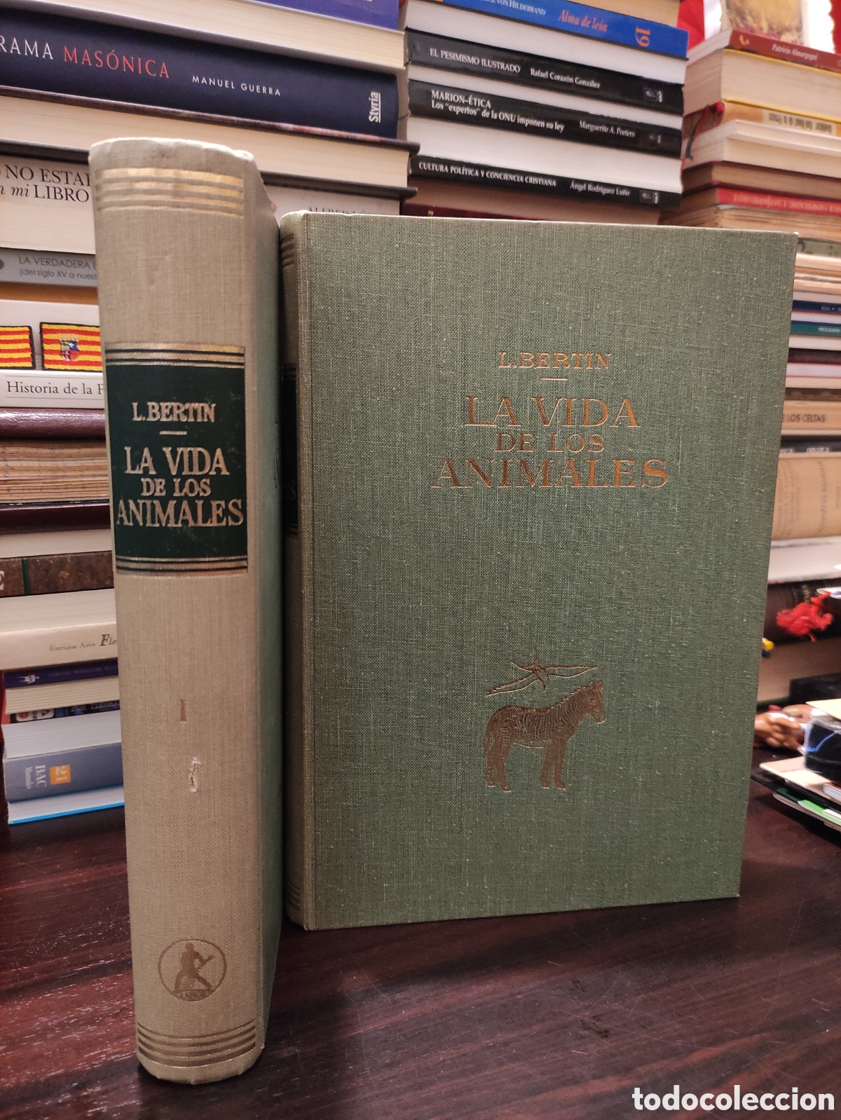 Libros de segunda mano: LA VIDA DE LOS ANIMALES - L. BERTIN 1970 - Foto 1