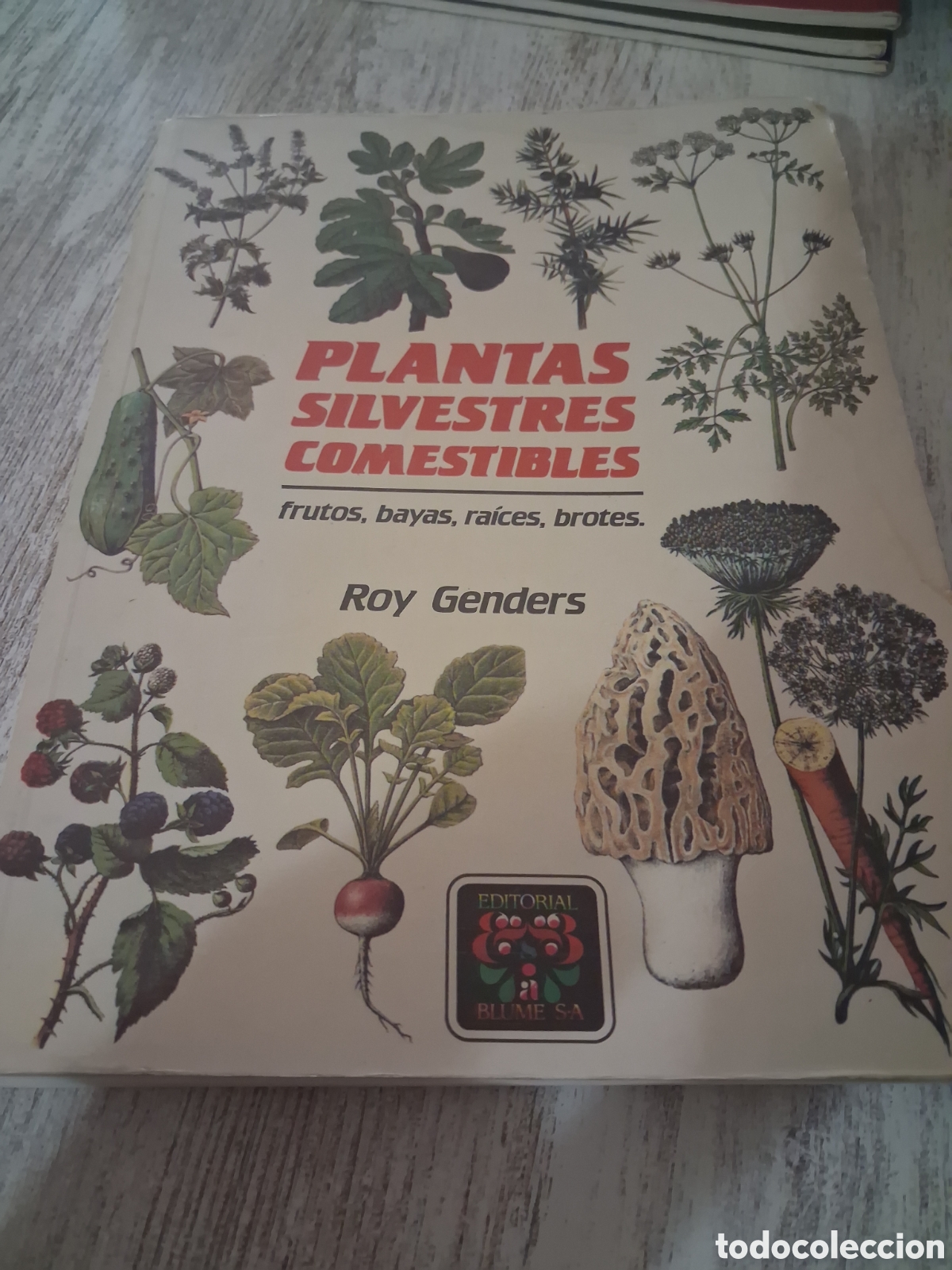 Gebrauchte B&uuml;cher: Plantas silvestres comestibles. Roy genders