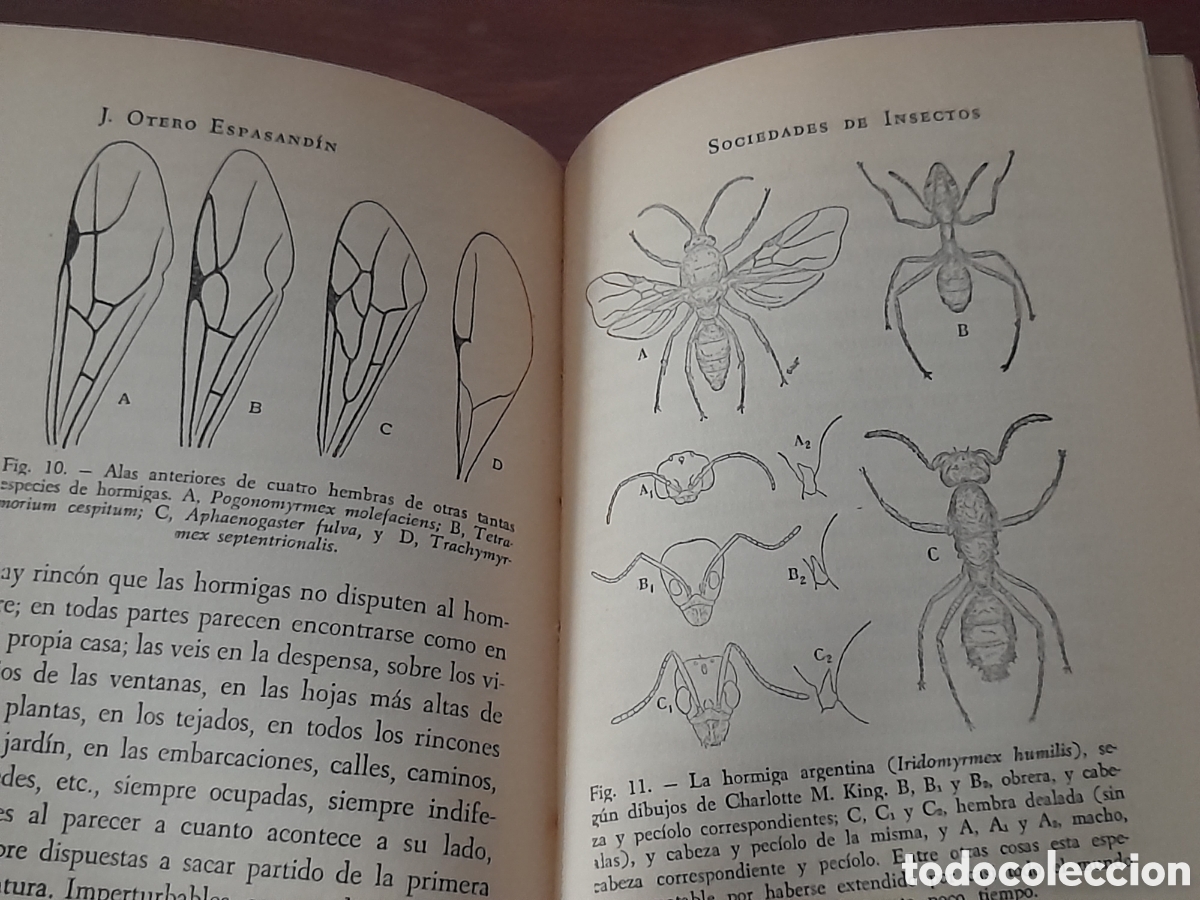 Libros de segunda mano: Libro colecci&oacute;n de oro, la sociedad de insectos - Foto 4