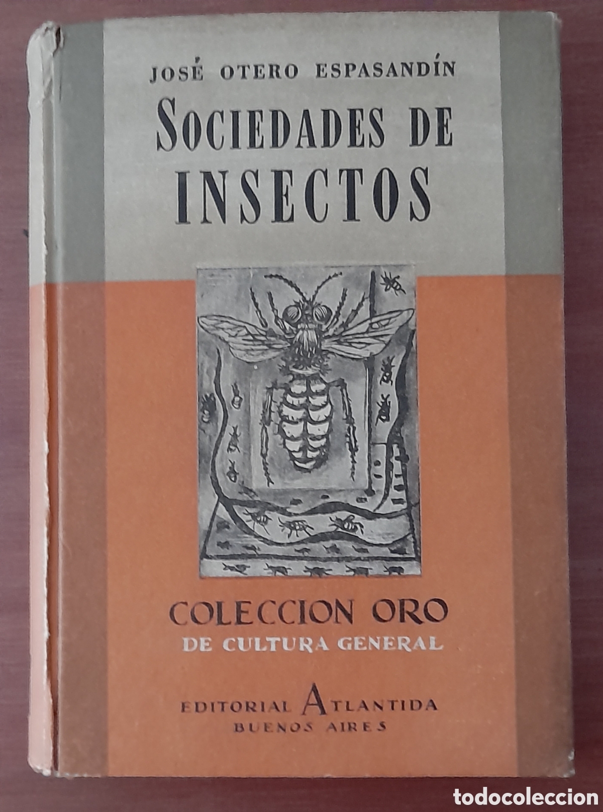 Libri di seconda mano: Libro colecci&oacute;n de oro, la sociedad de insectos