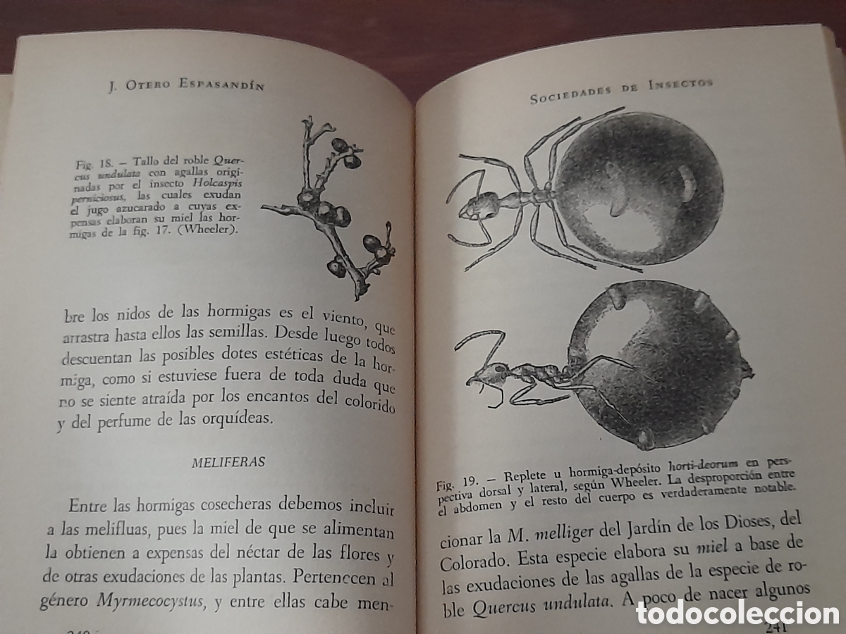 Libros de segunda mano: Libro colecci&oacute;n de oro, la sociedad de insectos - Foto 8