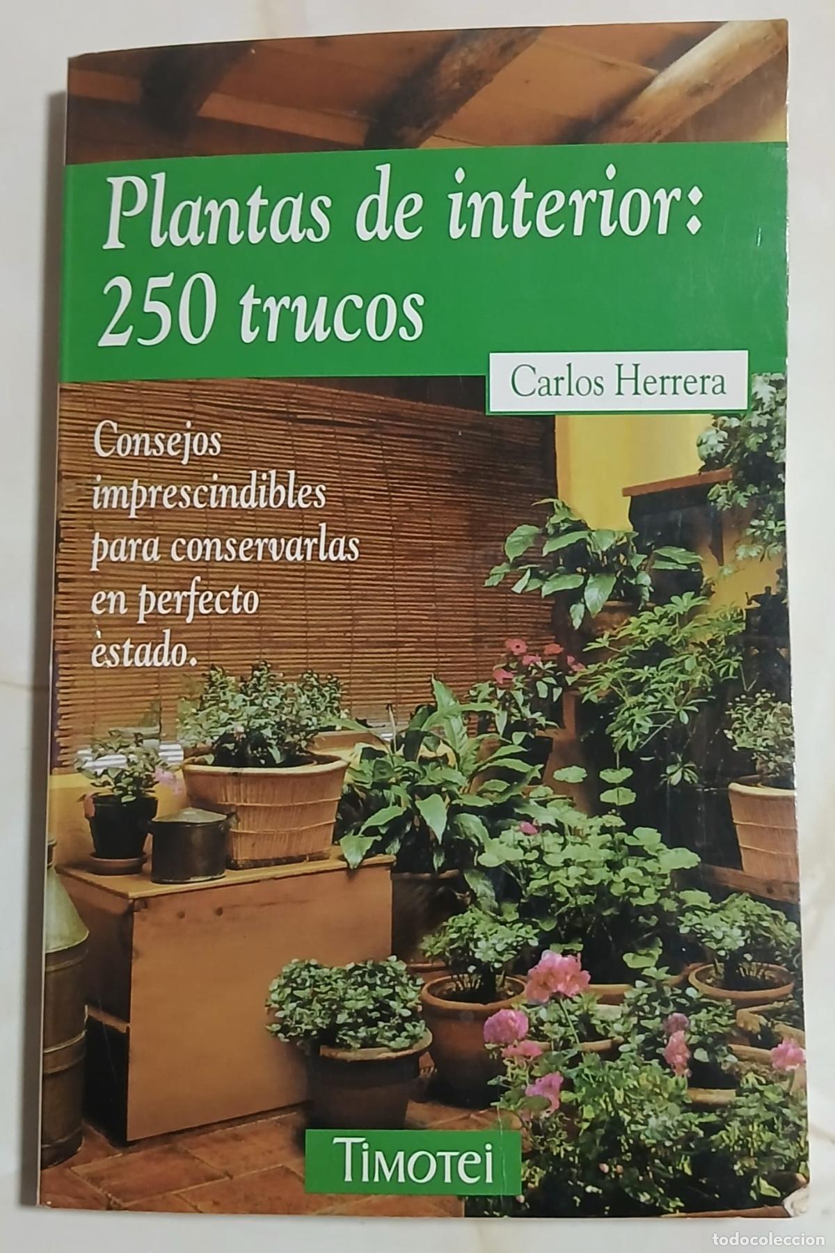 Libros de segunda mano: Libro - PLANTAS DE INTERIOR: 250 TRUCOS - CARLOS HERRERA - Timotei 1999