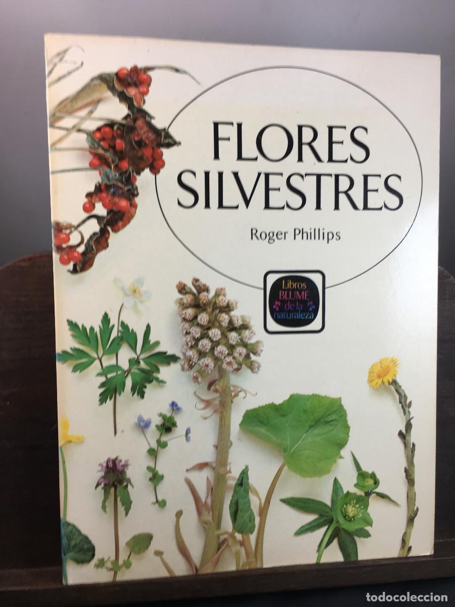 Libros de segunda mano: Flores Silvestres - Roger Phillips - Foto 1