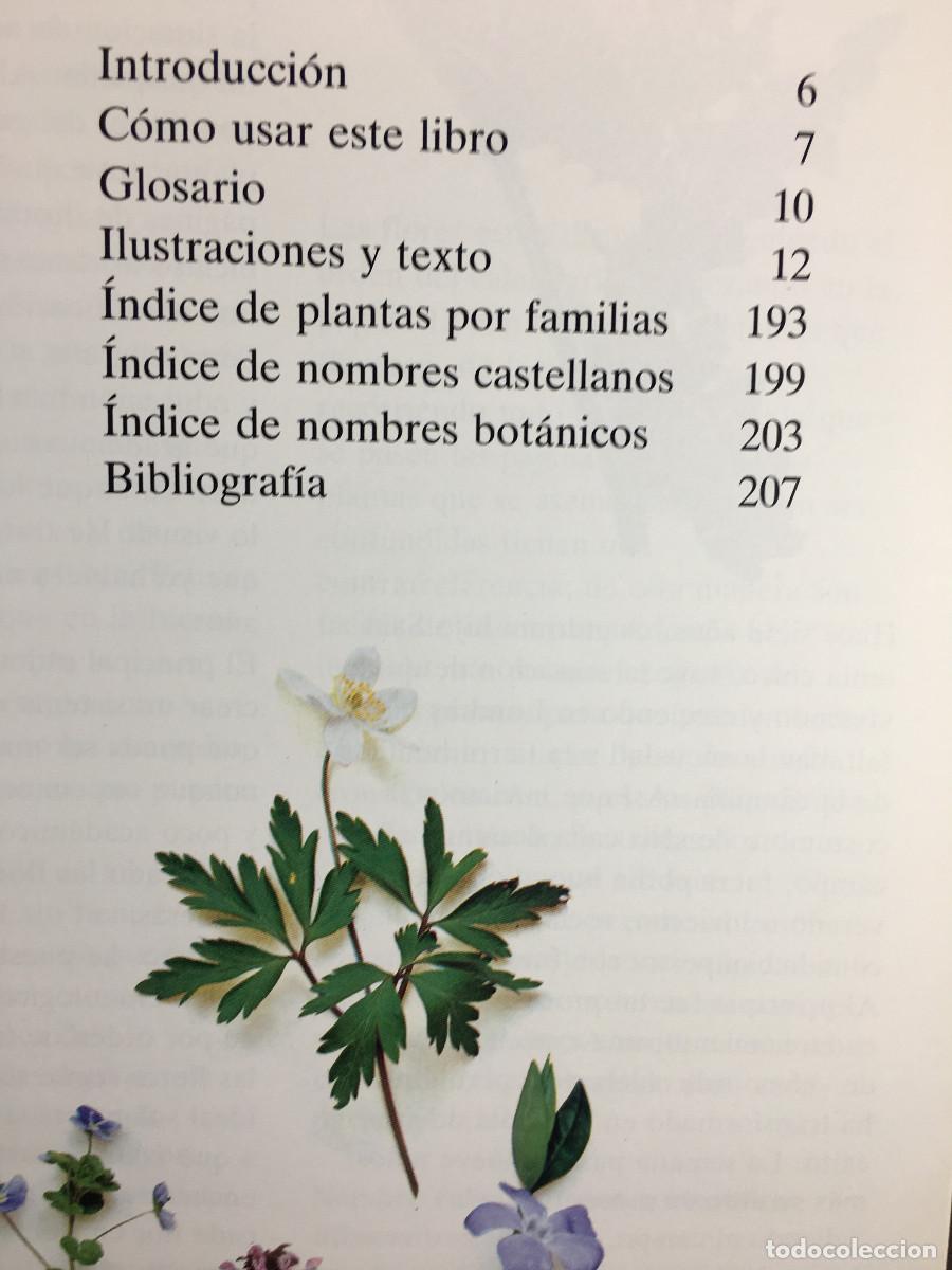 Libros de segunda mano: Flores Silvestres - Roger Phillips - Foto 5