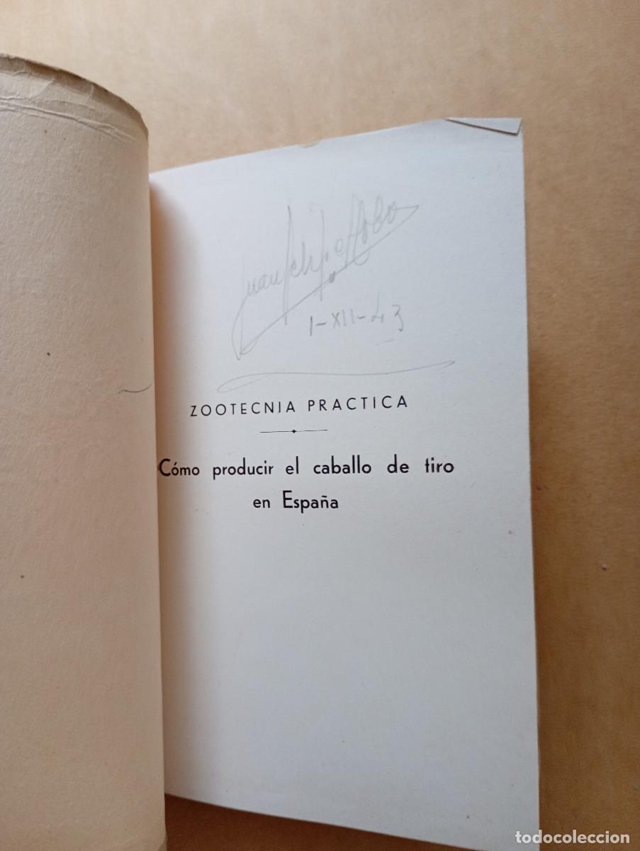 Libros de segunda mano: Como producir el caballo de tiro en Espa&ntilde;a. Jos&eacute; Crespo Serrano 1935 - Foto 2