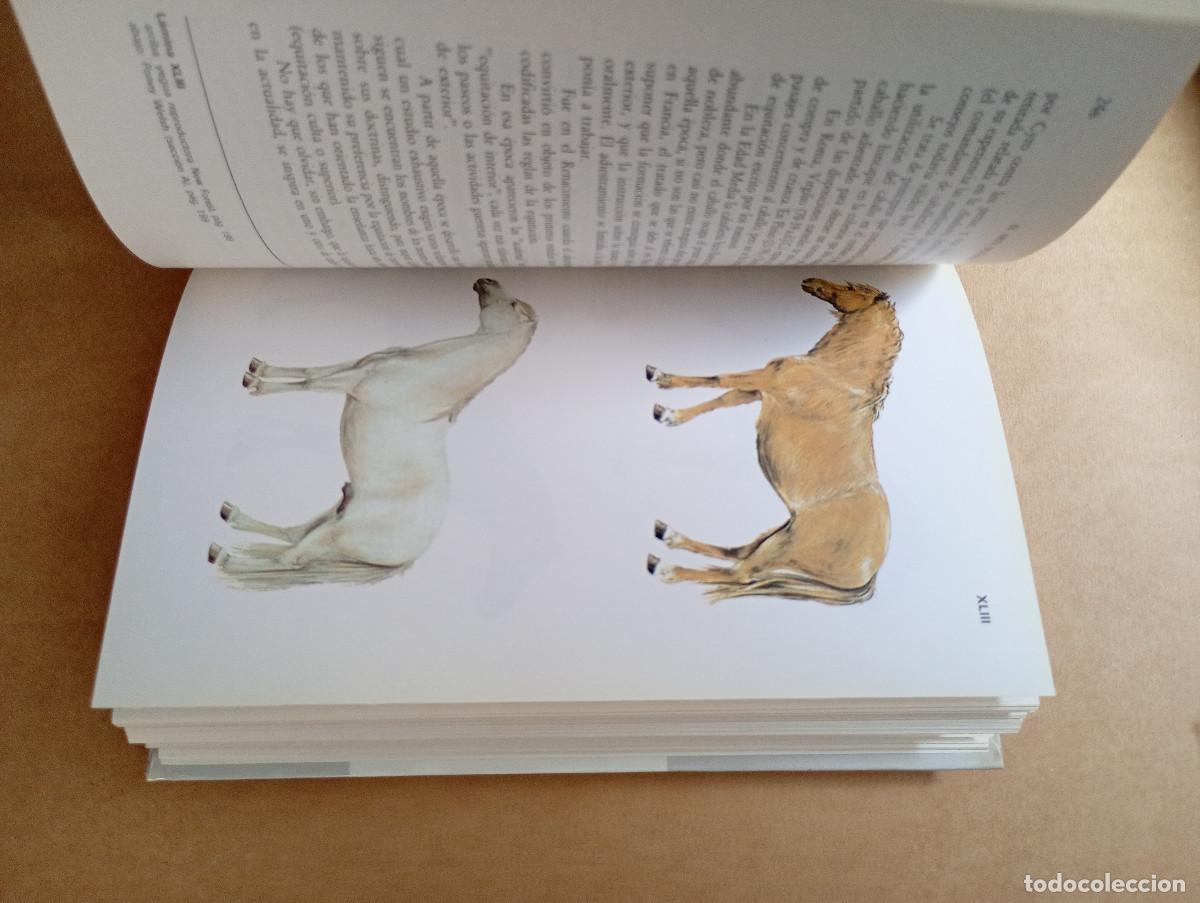 Libros de segunda mano: GU&Iacute;A DEL CABALLO Y DEL PONEY. - H. L. BLANC - Foto 2