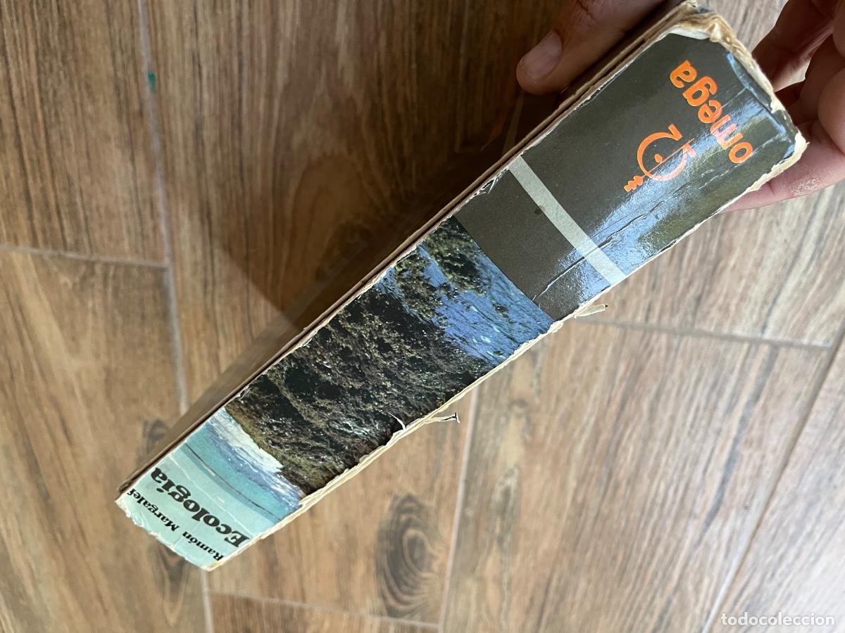 Libros de segunda mano: Ecolog&iacute;a - Ram&oacute;n Margalef Ediciones omega - Foto 2