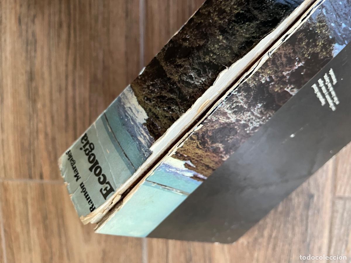 Libros de segunda mano: Ecolog&iacute;a - Ram&oacute;n Margalef Ediciones omega - Foto 5