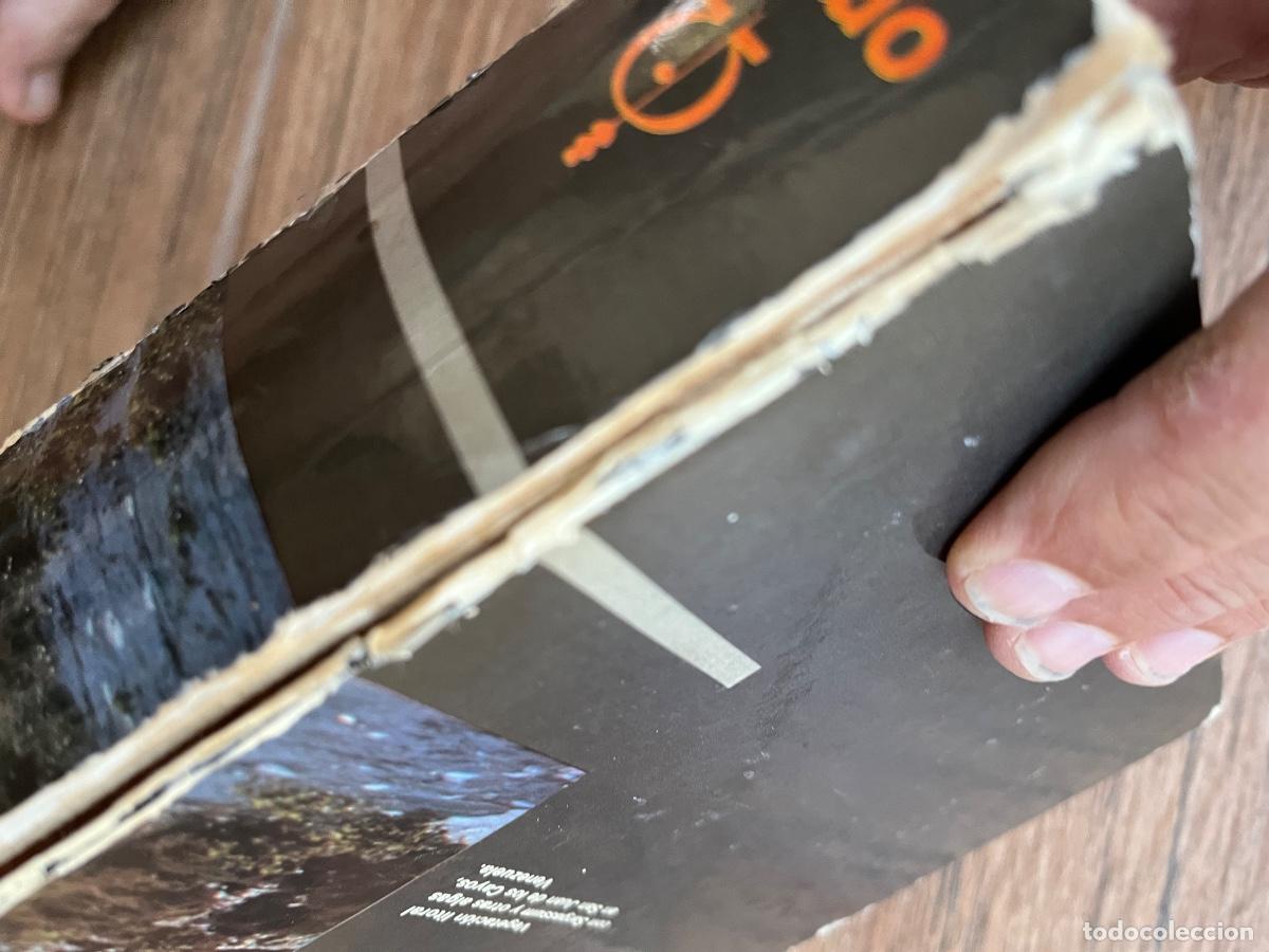 Libros de segunda mano: Ecolog&iacute;a - Ram&oacute;n Margalef Ediciones omega - Foto 6