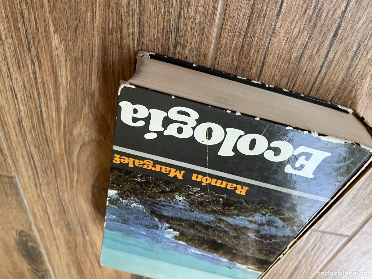 Libros de segunda mano: Ecolog&iacute;a - Ram&oacute;n Margalef Ediciones omega - Foto 7