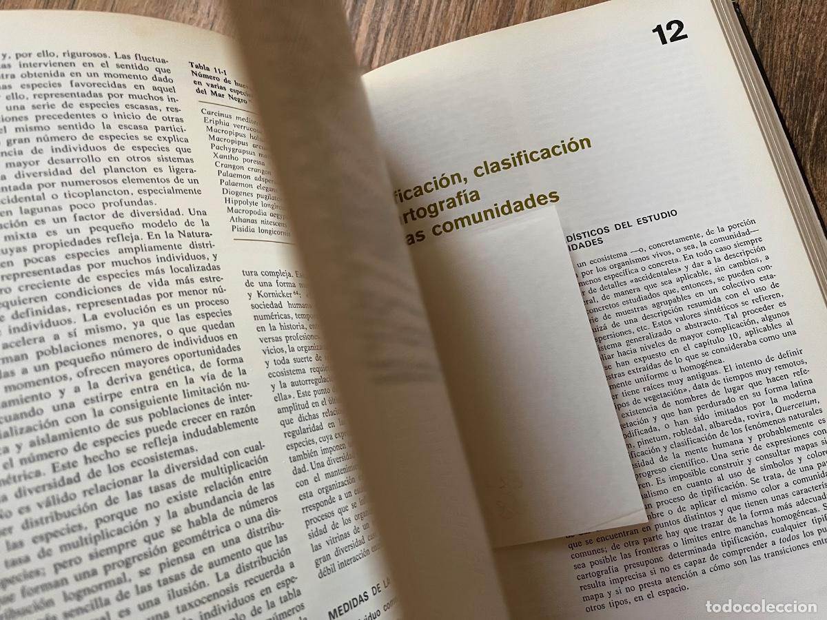 Libros de segunda mano: Ecolog&iacute;a - Ram&oacute;n Margalef Ediciones omega - Foto 10